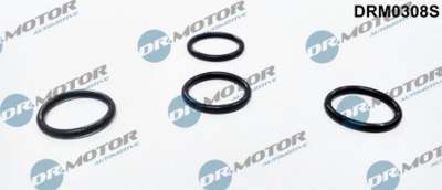 DR.MOTOR AUTOMOTIVE Dichtring