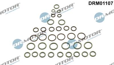 DR.MOTOR AUTOMOTIVE Dichtungssatz, Kompressor