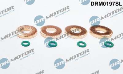 DR.MOTOR AUTOMOTIVE Dichtring