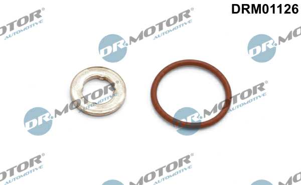 DR.MOTOR AUTOMOTIVE Dichtring 11140930 2 -Stück -Set