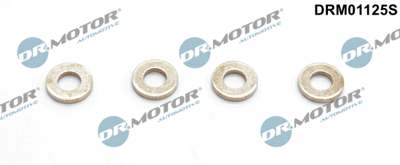 DR.MOTOR AUTOMOTIVE Dichtring