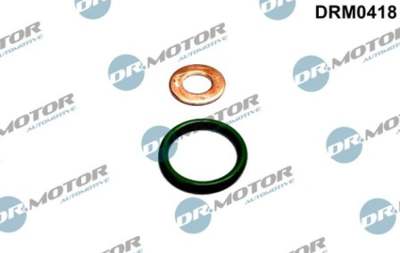 DR.MOTOR AUTOMOTIVE Dichtring