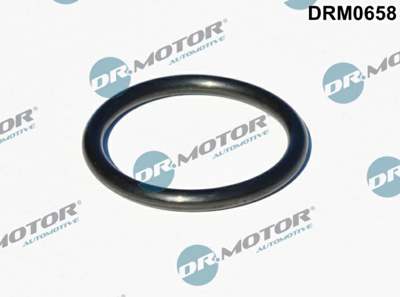 DR.MOTOR AUTOMOTIVE Dichtring