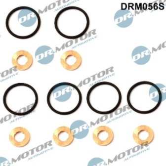 DR.MOTOR AUTOMOTIVE Dichtring 11141564 12 -Stück -Set
Kraftstoffaufbereitung: Common Rail