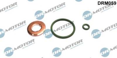 DR.MOTOR AUTOMOTIVE Dichtring