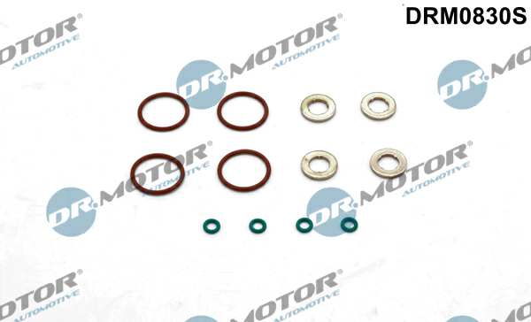 DR.MOTOR AUTOMOTIVE Dichtring 11141868 12 -Stück -Set