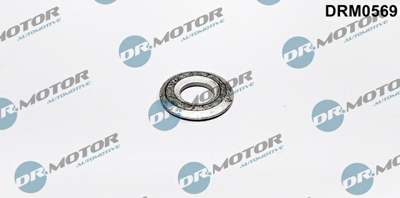 DR.MOTOR AUTOMOTIVE Düsenhalter-Dichtring