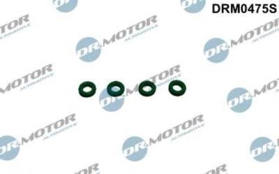 DR.MOTOR AUTOMOTIVE Dichtring