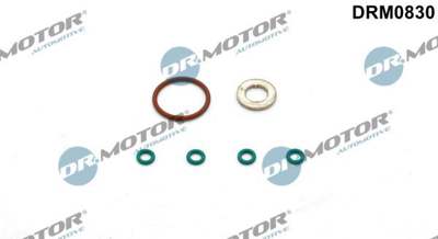 DR.MOTOR AUTOMOTIVE Dichtring