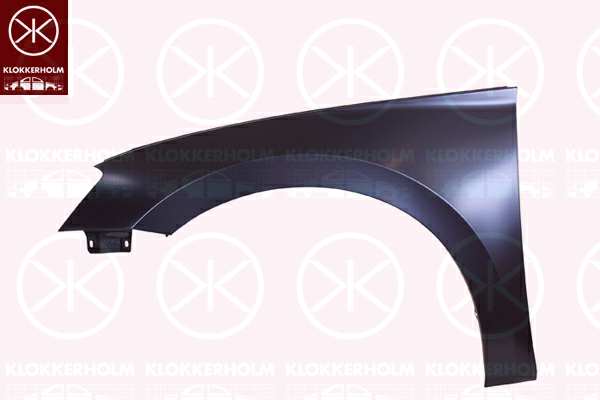 KLOKKERHOLM Einstiegblech 11143995 Einbauseite: vorne rechts