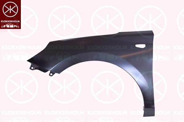 KLOKKERHOLM Einstiegblech 11144882 Einbauseite: vorne rechts, mechanisch bearbeitet: mit Loch für Blinkleuchte