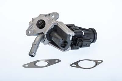 WAHLER EGR valve