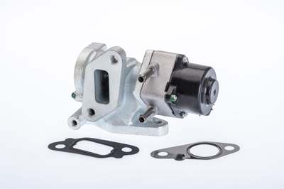 WAHLER EGR valve