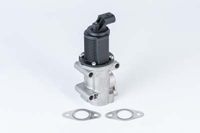 WAHLER EGR valve