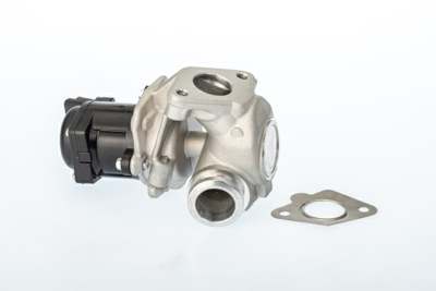 WAHLER EGR valve