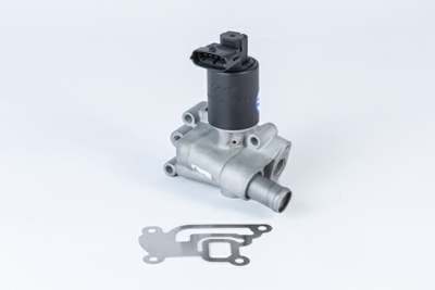 WAHLER EGR valve