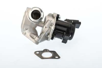 WAHLER EGR valve