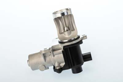 WAHLER EGR valve