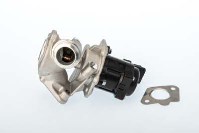 WAHLER EGR valve
