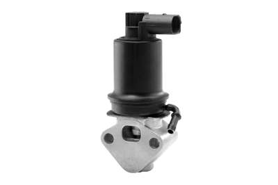 WAHLER EGR valve