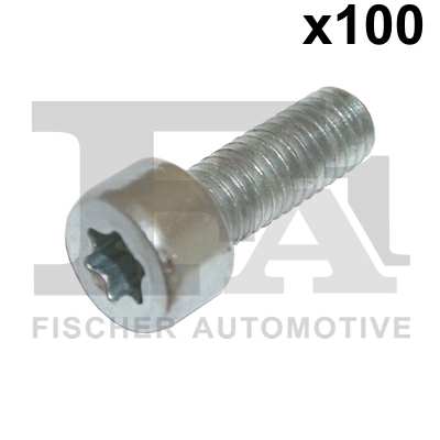 FA1 Nachrüstsatz, Klimaanlage 11236206 100pcs -Paket, M6x1.0x16, 6 Hanger Interior TORX
Länge [mm]: 16, Gewindemaß: M6x1,0, Schlüsselweite: T30, Schraubenkopf-/Mutternprofil: Innen-Torx