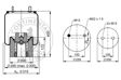 CONTITECH Luftfeder komplett (Anhänger) 10001255 Gewicht [kg]: 6,7, Verpackungslänge [cm]: 30, Verpackungsbreite [cm]: 30, Verpackungshöhe [cm]: 40 4.