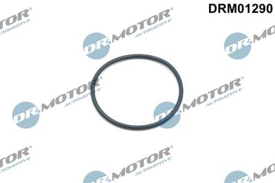 DR.MOTOR AUTOMOTIVE O-ring