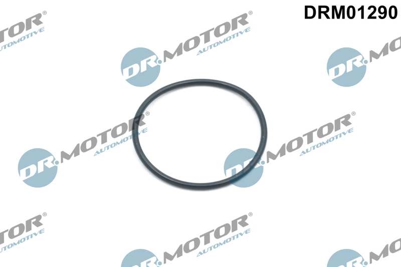 DR.MOTOR AUTOMOTIVE O-ring 11291443 