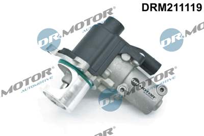 DR.MOTOR AUTOMOTIVE EGR valve