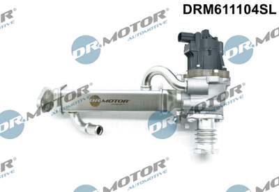 DR.MOTOR AUTOMOTIVE EGR valve