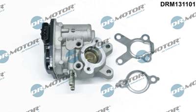 DR.MOTOR AUTOMOTIVE EGR valve