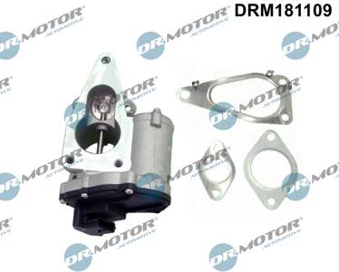 DR.MOTOR AUTOMOTIVE EGR valve