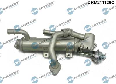 DR.MOTOR AUTOMOTIVE EGR valve