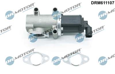 DR.MOTOR AUTOMOTIVE EGR valve