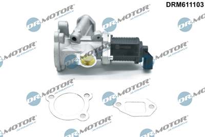 DR.MOTOR AUTOMOTIVE EGR valve