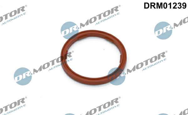 DR.MOTOR AUTOMOTIVE Dichtring 11291394 Alt- mit Neuteil zwingend abgleichen (insbesondere OE-Nr.):