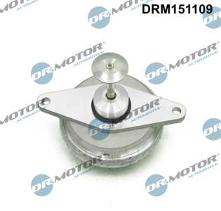 DR.MOTOR AUTOMOTIVE EGR valve