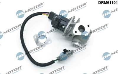 DR.MOTOR AUTOMOTIVE EGR valve