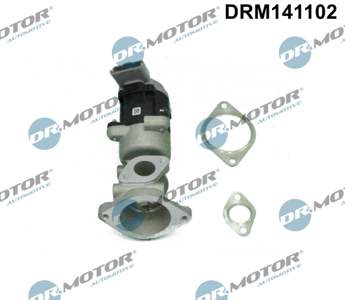 DR.MOTOR AUTOMOTIVE EGR valve