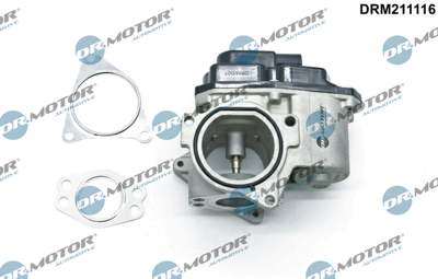 DR.MOTOR AUTOMOTIVE EGR valve