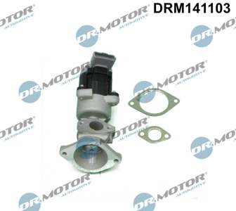 DR.MOTOR AUTOMOTIVE EGR valve