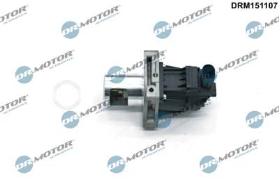 DR.MOTOR AUTOMOTIVE EGR valve