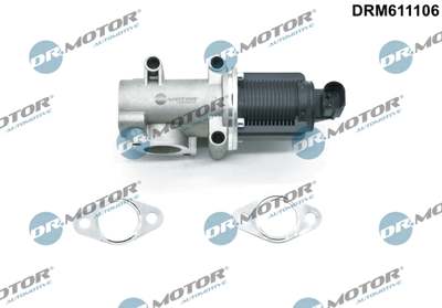 DR.MOTOR AUTOMOTIVE EGR valve