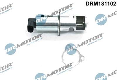 DR.MOTOR AUTOMOTIVE EGR valve