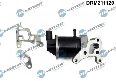 DR.MOTOR AUTOMOTIVE EGR valve