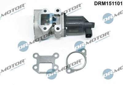 DR.MOTOR AUTOMOTIVE EGR valve