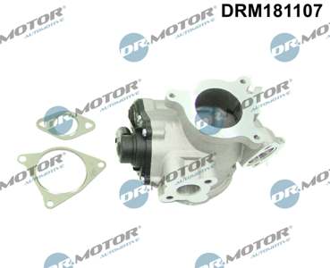 DR.MOTOR AUTOMOTIVE EGR valve