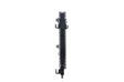 BEHR HELLA SERVICE Radiator 11312369 Radiator type: Mechanically jointed cooling fins, Core Length [mm]: 650, Core Width [mm]: 322, Core Depth [mm]: 23, Water Tank Material (radiator): Plastic 5.