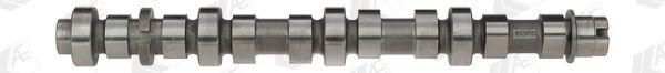 AE Nockenwelle 10852998 Einbauposition: Einlassseite, Material: Gusseisen