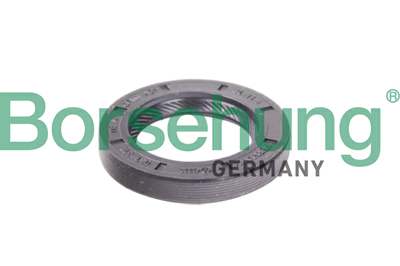 BORSEHUNG Transmission gear seal